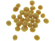 Lataa kuva Galleria-katseluun, Sinapin siemenet idut