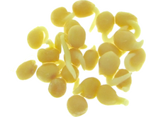 Lataa kuva Galleria-katseluun, Sinapin siemenet idut