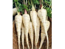 Lataa kuva Galleria-katseluun, Palsternakka