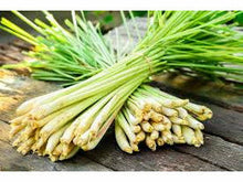 Ladda upp bild till gallerivisning, Citrongräs