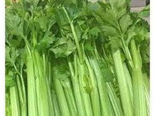 Lataa kuva Galleria-katseluun, Lehtiselleri