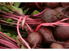 Lataa kuva Galleria-katseluun, Punajuuri