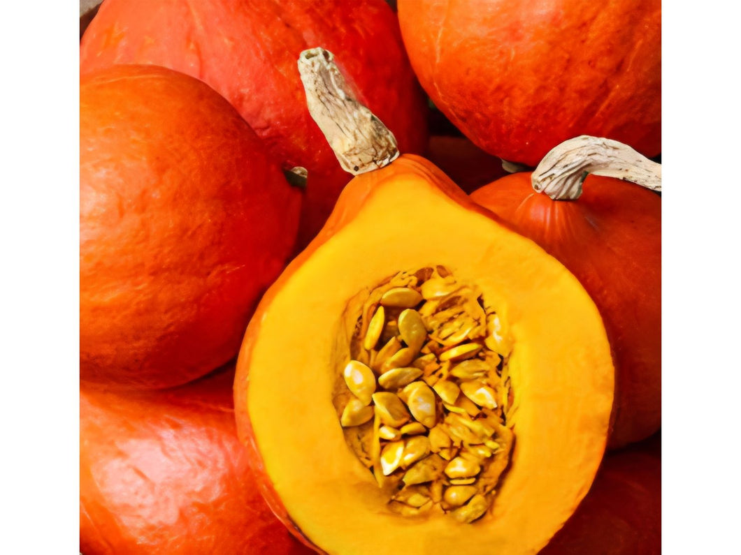 Kurpitsa Hokkaido Orange luomu