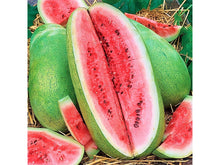 Ladda upp bild till gallerivisning, Vattenmelon
