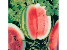 Ladda upp bild till gallerivisning, Vattenmelon
